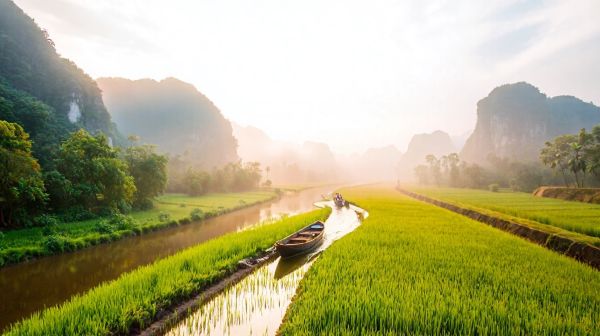 Explore Ninh Binh : les merveilles cachées de la baie halong terrestre